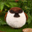 Porte-clés en peluche Chubby Sparrow 3