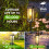 Solar Pathway Lights Taller 8 Pack 3