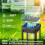 Solar Pathway Lights Taller 8 Pack 4