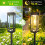 Solar Pathway Lights Taller 8 Pack 8