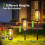 Solar Pathway Lights Taller 8 Pack 6
