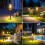 Solar Pathway Lights Taller 8 Pack 7