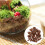 Tree Bark Scenery Accessories Dark Brown for Pets 1 Pack 1