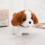 Barking Puppy Plush Toy Electronic Interactive Dog for Kids 2