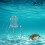 Cast Snare Tool for Prawn Crawdad Crayfish, 1 pc 6