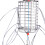 Cast Snare Tool for Prawn Crawdad Crayfish, 1 pc 8