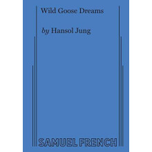 Wild Goose Dreams by Hansol Jung Paperback Book