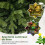 Árvore de Natal artificial pré-iluminada de 180 cm, com 250 LEDs e 11 modos de iluminação. 3