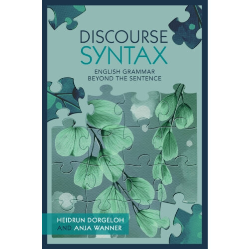 Discourse Syntax by Heidrun Dorgeloh Paperback Book