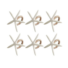 Boucles étoile de mer 6 pièces, pour noël, fête de Thanksgiving,