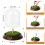 Mini gardien de balle de golf élégant avec-Imitation noyer noir 4