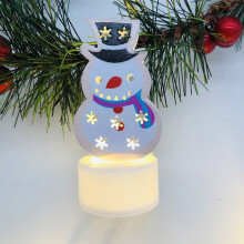 LED Christmas string lights for indoor and outdoor use