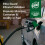 Classic Valvemaster Lead Replacement Fuel Additive 6