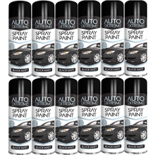 Rapide Auto Extreme Spray Paint Black Matt 250ML x 12