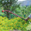 Greenhouse watering device with 4 taps and long pole 8