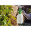 Draper Draper Pump Action Pressure Sprayer Garden 2.5L 2