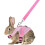 Rabbit Vest Harness and Leash Set Adjustable Soft Suit 5