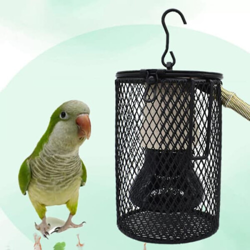 Reptile Heat Lamp for Winter Pet Heating 1