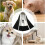 Déguisement d'Halloween pour petits chiens (taille L) 6