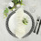 Cheesecloth cotton table napkins ivory 5 pieces 2
