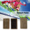 Snowboard-Wachspinsel-Set, Rosshaar, Nylon, Messing, 3-teilig 3