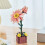 Kit de rompecabezas de flores de madera 3D para decoración del hogar 7