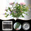 Supporto a spirale Fankiway per composizioni floreali Ikebana, 8