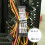PSU Cables GPU PCIe Extension Cable Set 7