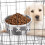 Cage distributeur d'eau et de nourriture pour chats,-14x5,5 cm 11