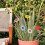 Wasserdichte Sonnenblumen-Windmühle für den Außenbereich, 6