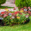 Wasserdichte Sonnenblumen-Windmühle für den Außenbereich, 8