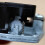 8 Tones Music Box Movement Mechanical Clockwork DIY-Black 4