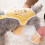 Dog Diaper Liners Pads 30 Count Disposable fit Most Reusable 10