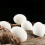 Novelty Magic Trick Soft Sponge Eggs Artificial Disappear-White 4