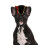Couvre-chef pour chat, chapeau de Pirate, couvre-chef pour-marin 11