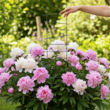 Rankgitter-Set für den Garten, 8 Metallstützen für Kletterpflanzen