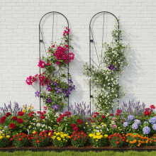 Muurrekset, 2 stuks, gepoedercoat staal, voor klimplanten