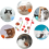 Interactive Cat Toy Pack with Balls and Mice 5 Pieces 5