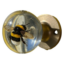 Poignée de porte en cristal clair, fleur, bouton-Ver de miel
