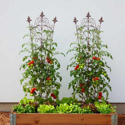 Gartenspalier, Vintage-Metall mit Fleur-De-Lis-Endstücken 2