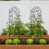 Gartenspalier, Blatt- und Vogelmotiv, schwarzer Stahl 3