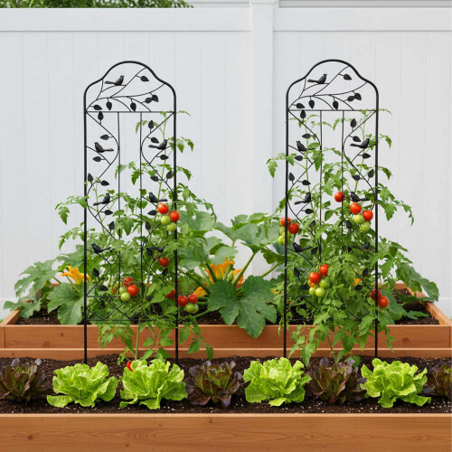 Gartenspalier, Blatt- und Vogelmotiv, schwarzer Stahl 2