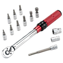 ROCKBROS 72 Tooth Torque Ratchet Wrench 2-24Nm Bike Repair Kit