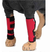 Dog Knee Braces Support Bars Leg Guards Post-Surgery Injury Recovery N