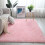 Fluffy Shaggy Area Rug 80x160cm 8