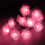 Solar Flower String Lights Waterproof 8 Modes 10m 1