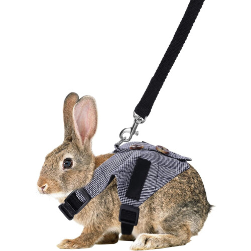 Rabbit Vest Harness and Leash Set Formal Suit Style 2