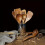 Wooden Kitchen Utensil Set with Holder 1 Pack 5
