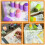 Paint Sponge Daubers for Kids 5 Pieces 3