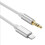 Lightning to AUX 3.5mm adapter car silver 1m 2